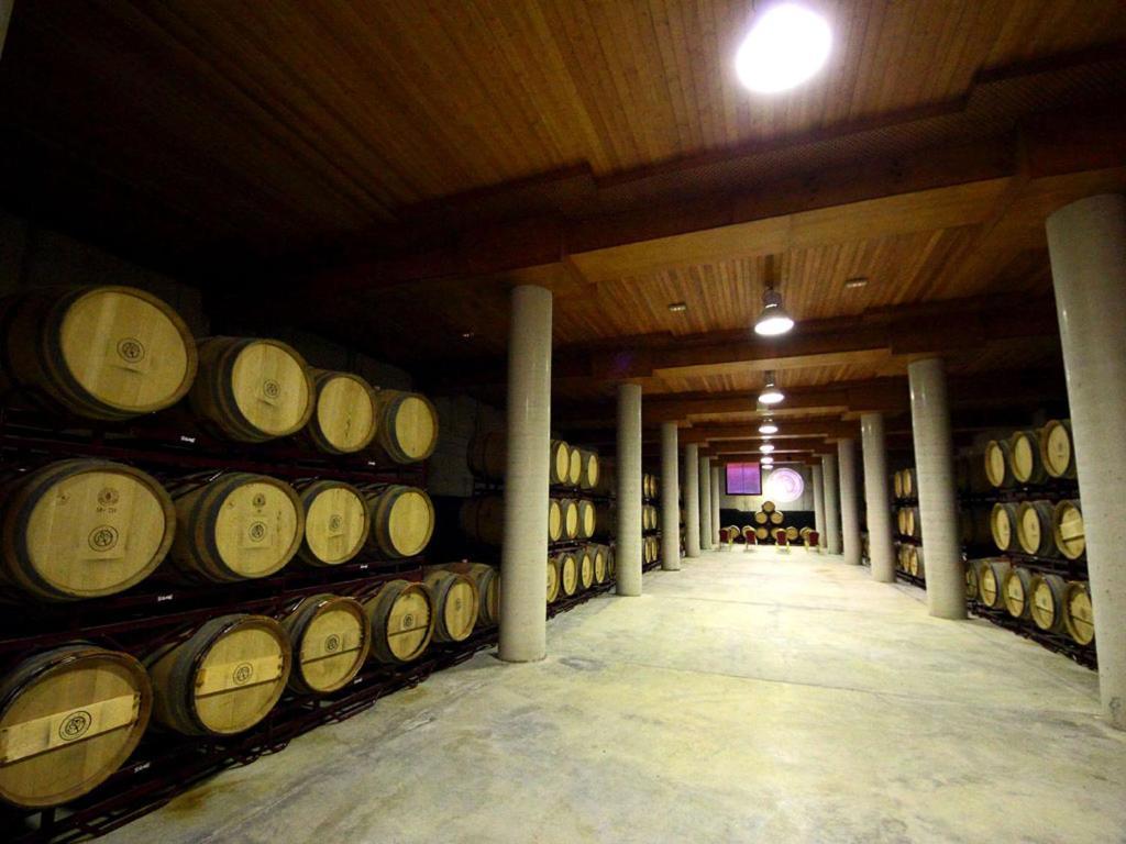 Hotel Chateau Vinasoro 알카자드샌우안 외부 사진